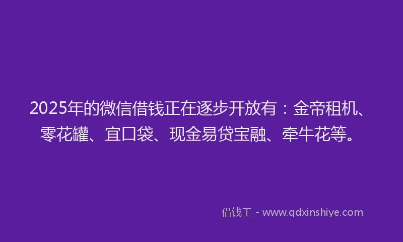 2025年的微信借钱正在逐步开放有：金帝租机、零花罐、宜口袋、现金易贷宝融、牵牛花等。