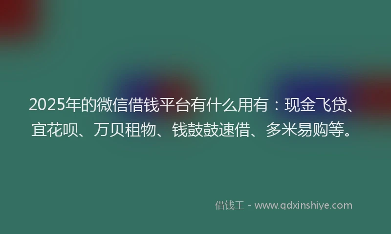 2025年的微信借钱平台有什么用有：现金飞贷、宜花呗、万贝租物、钱鼓鼓速借、多米易购等。
