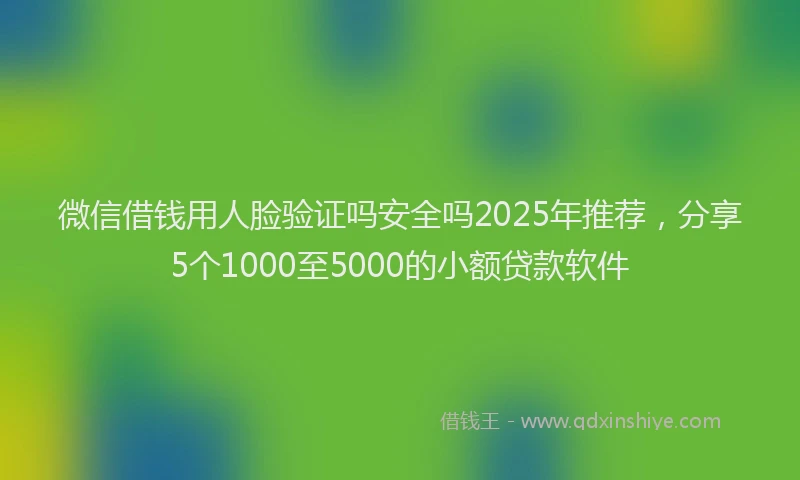 微信借钱用人脸验证吗安全吗2025年推荐，分享5个1000至5000的小额贷款软件