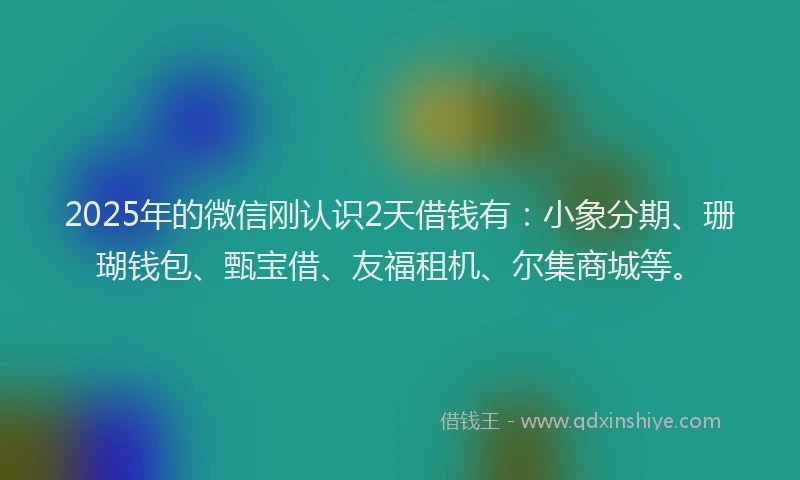 2025年的微信刚认识2天借钱有：小象分期、珊瑚钱包、甄宝借、友福租机、尔集商城等。
