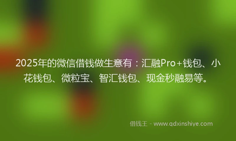 2025年的微信借钱做生意有：汇融Pro+钱包、小花钱包、微粒宝、智汇钱包、现金秒融易等。