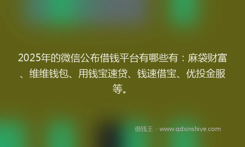 2025年的微信公布借钱平台有哪些有：麻袋财富、维维钱包、用钱宝速贷、钱速借宝、优投金服等。