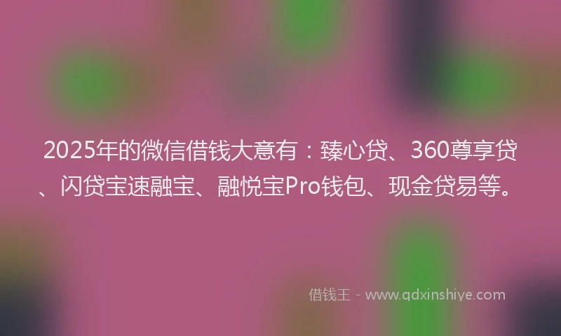 2025年的微信借钱大意有：臻心贷、360尊享贷、闪贷宝速融宝、融悦宝Pro钱包、现金贷易等。