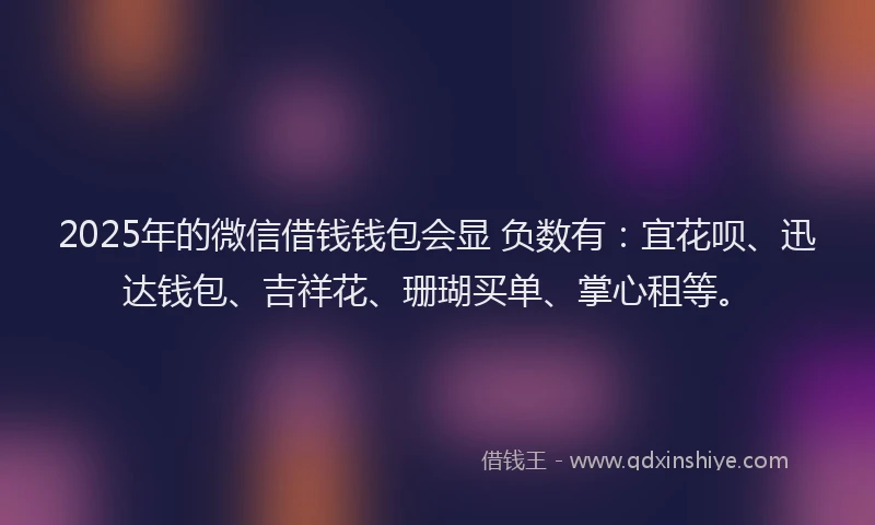 2025年的微信借钱钱包会显 负数有：宜花呗、迅达钱包、吉祥花、珊瑚买单、掌心租等。