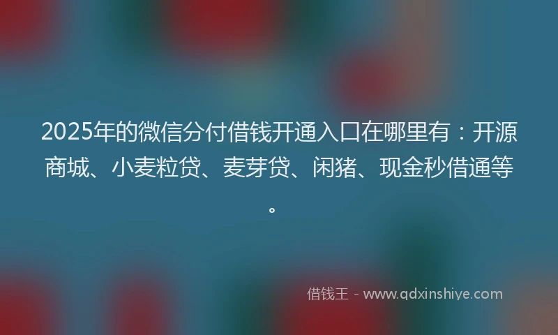 2025年的微信分付借钱开通入口在哪里有：开源商城、小麦粒贷、麦芽贷、闲猪、现金秒借通等。