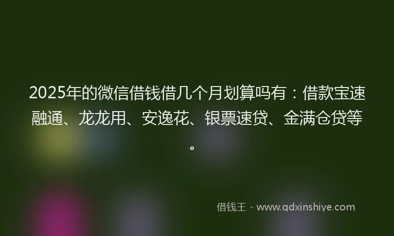 2025年的微信借钱借几个月划算吗有：借款宝速融通、龙龙用、安逸花、银票速贷、金满仓贷等。