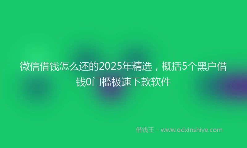微信借钱怎么还的2025年精选，概括5个黑户借钱0门槛极速下款软件