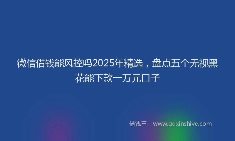 微信借钱能风控吗2025年精选，盘点五个无视黑花能下款一万元口子