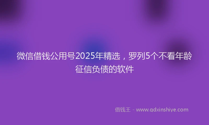 微信借钱公用号2025年精选，罗列5个不看年龄征信负债的软件