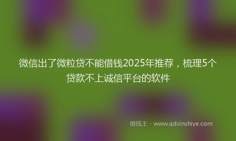 微信出了微粒贷不能借钱2025年推荐，梳理5个贷款不上诚信平台的软件