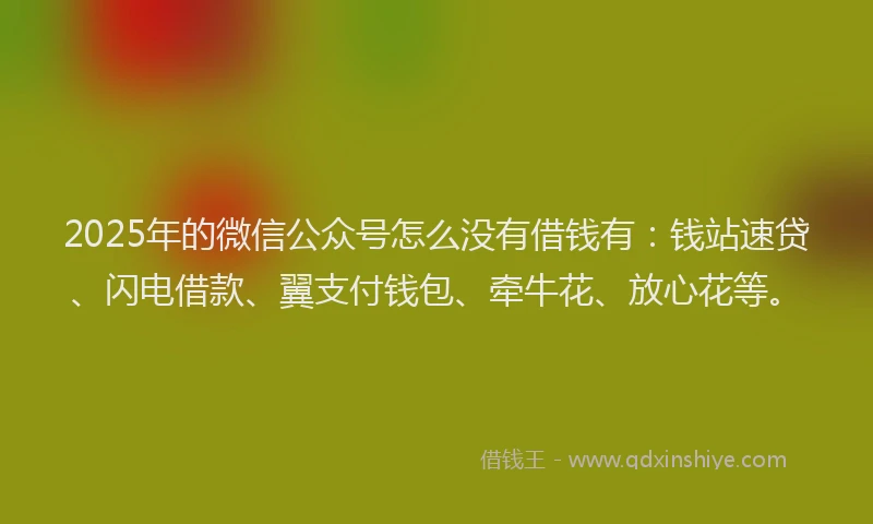 2025年的微信公众号怎么没有借钱有：钱站速贷、闪电借款、翼支付钱包、牵牛花、放心花等。