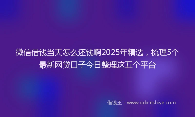 微信借钱当天怎么还钱啊2025年精选，梳理5个最新网贷口子今日整理这五个平台