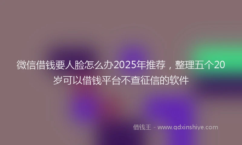 微信借钱要人脸怎么办2025年推荐，整理五个20岁可以借钱平台不查征信的软件