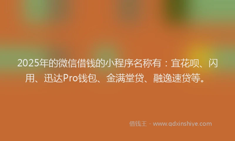 2025年的微信借钱的小程序名称有：宜花呗、闪用、迅达Pro钱包、金满堂贷、融逸速贷等。