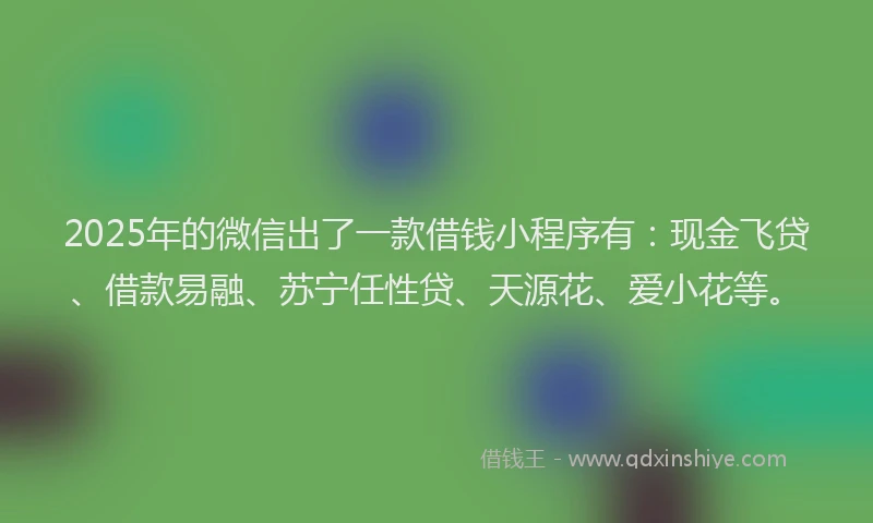 2025年的微信出了一款借钱小程序有：现金飞贷、借款易融、苏宁任性贷、天源花、爱小花等。