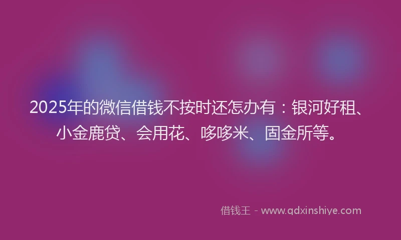 2025年的微信借钱不按时还怎办有：银河好租、小金鹿贷、会用花、哆哆米、固金所等。