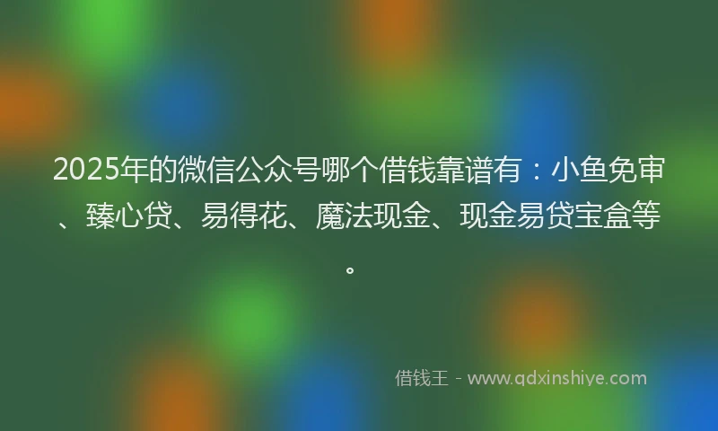 2025年的微信公众号哪个借钱靠谱有：小鱼免审、臻心贷、易得花、魔法现金、现金易贷宝盒等。