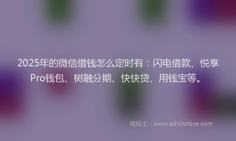 2025年的微信借钱怎么定时有：闪电借款、悦享Pro钱包、树融分期、快快贷、用钱宝等。