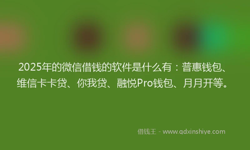 2025年的微信借钱的软件是什么有：普惠钱包、维信卡卡贷、你我贷、融悦Pro钱包、月月开等。
