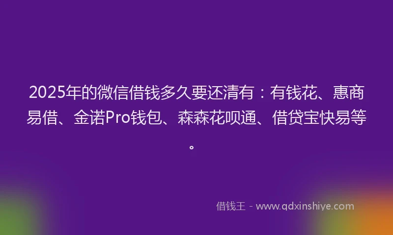 2025年的微信借钱多久要还清有：有钱花、惠商易借、金诺Pro钱包、森森花呗通、借贷宝快易等。