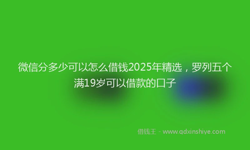 微信分多少可以怎么借钱2025年精选，罗列五个满19岁可以借款的口子