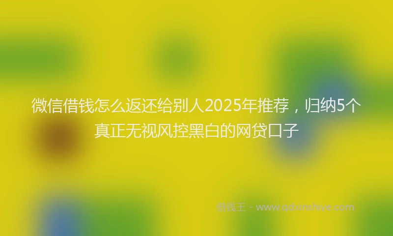 微信借钱怎么返还给别人2025年推荐，归纳5个真正无视风控黑白的网贷口子