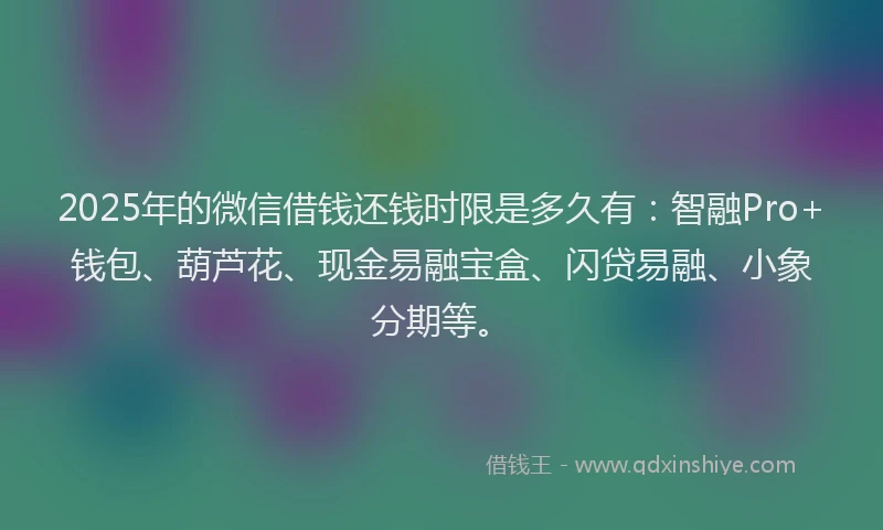 2025年的微信借钱还钱时限是多久有：智融Pro+钱包、葫芦花、现金易融宝盒、闪贷易融、小象分期等。