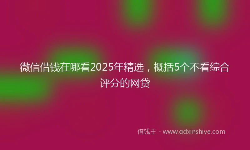 微信借钱在哪看2025年精选，概括5个不看综合评分的网贷