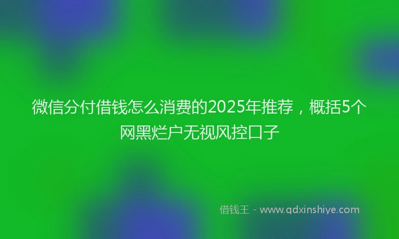 微信分付借钱怎么消费的2025年推荐，概括5个网黑烂户无视风控口子