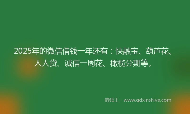 2025年的微信借钱一年还有：快融宝、葫芦花、人人贷、诚信一周花、橄榄分期等。