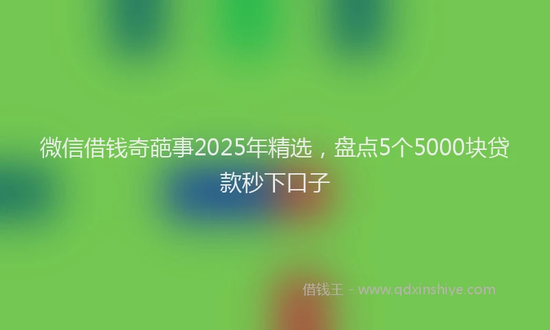 微信借钱奇葩事2025年精选，盘点5个5000块贷款秒下口子