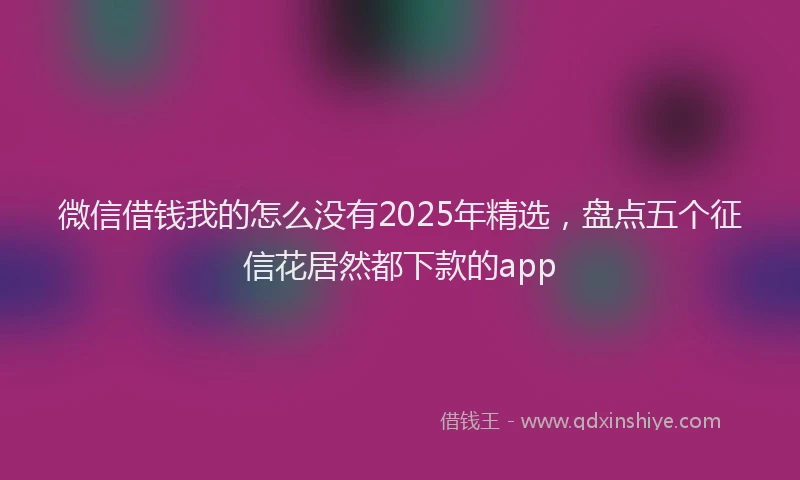微信借钱我的怎么没有2025年精选，盘点五个征信花居然都下款的app