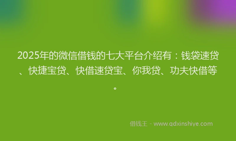 2025年的微信借钱的七大平台介绍有：钱袋速贷、快捷宝贷、快借速贷宝、你我贷、功夫快借等。