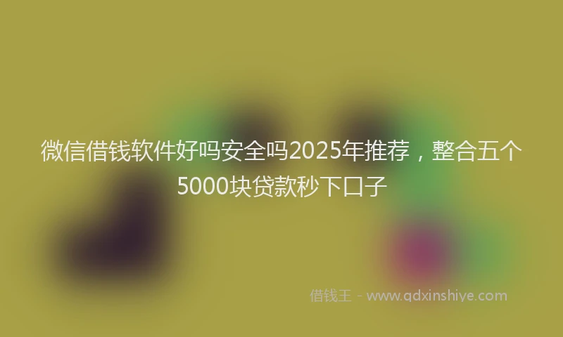 微信借钱软件好吗安全吗2025年推荐，整合五个5000块贷款秒下口子