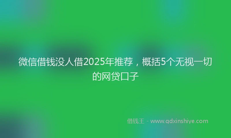 微信借钱没人借2025年推荐，概括5个无视一切的网贷口子