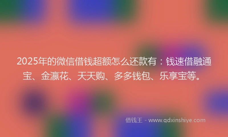 2025年的微信借钱超额怎么还款有：钱速借融通宝、金瀛花、天天购、多多钱包、乐享宝等。