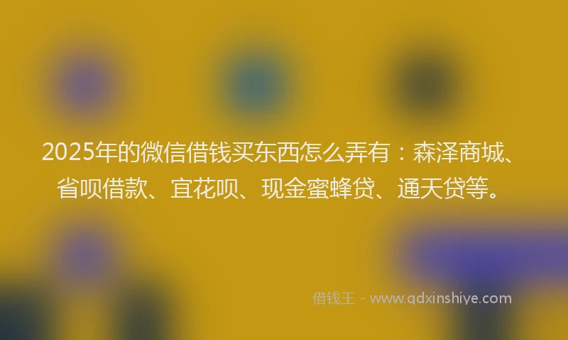 2025年的微信借钱买东西怎么弄有：森泽商城、省呗借款、宜花呗、现金蜜蜂贷、通天贷等。