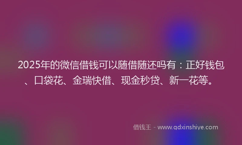 2025年的微信借钱可以随借随还吗有：正好钱包、口袋花、金瑞快借、现金秒贷、新一花等。