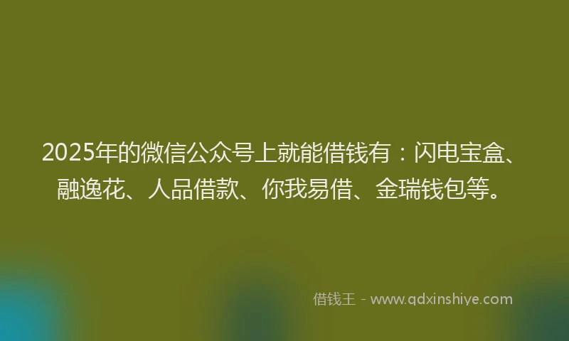 2025年的微信公众号上就能借钱有：闪电宝盒、融逸花、人品借款、你我易借、金瑞钱包等。