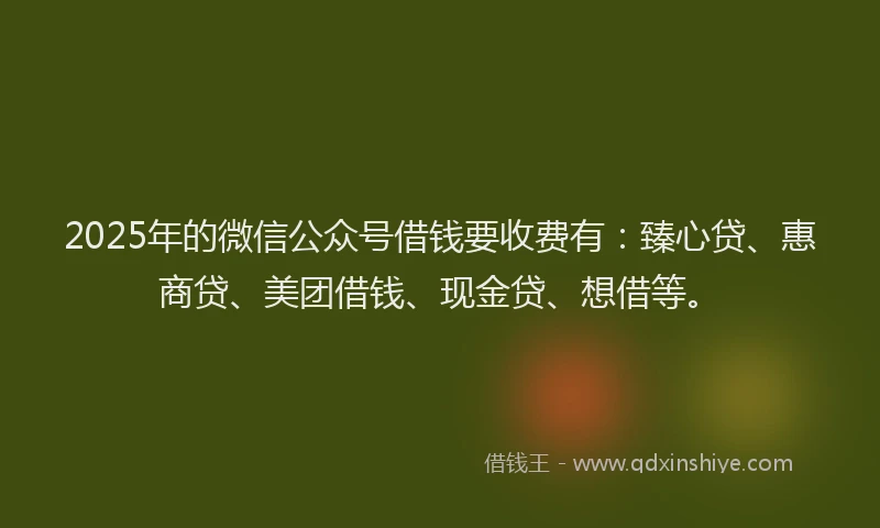 2025年的微信公众号借钱要收费有：臻心贷、惠商贷、美团借钱、现金贷、想借等。