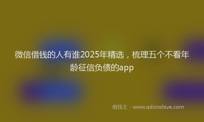 微信借钱的人有谁2025年精选，梳理五个不看年龄征信负债的app