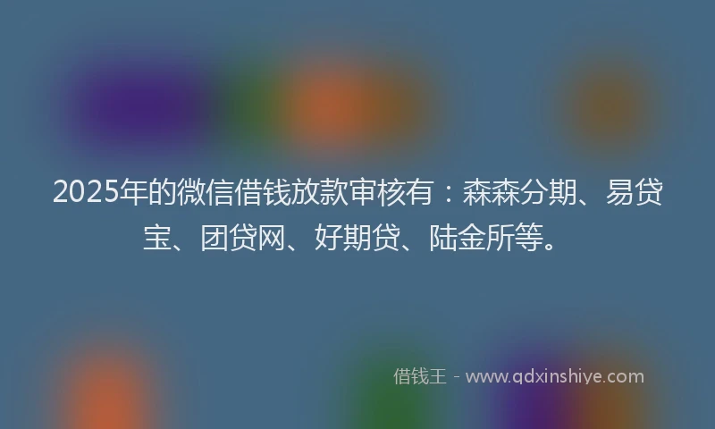 2025年的微信借钱放款审核有：森森分期、易贷宝、团贷网、好期贷、陆金所等。