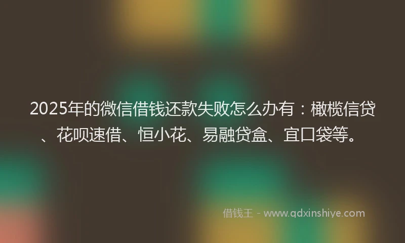 2025年的微信借钱还款失败怎么办有：橄榄信贷、花呗速借、恒小花、易融贷盒、宜口袋等。