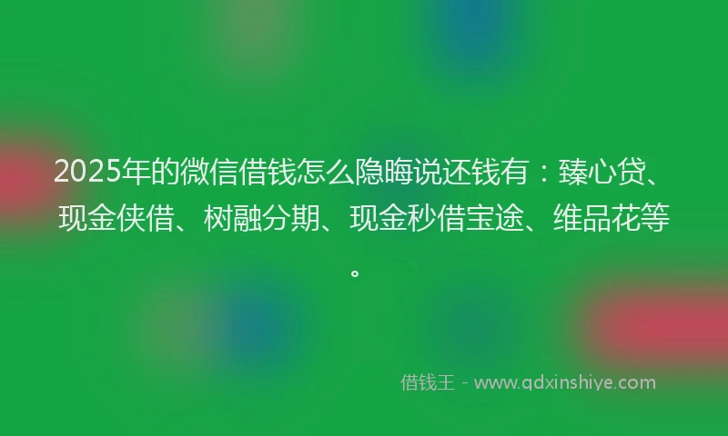 2025年的微信借钱怎么隐晦说还钱有：臻心贷、现金侠借、树融分期、现金秒借宝途、维品花等。