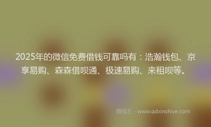 2025年的微信免费借钱可靠吗有：浩瀚钱包、京享易购、森森借呗通、极速易购、来租呗等。