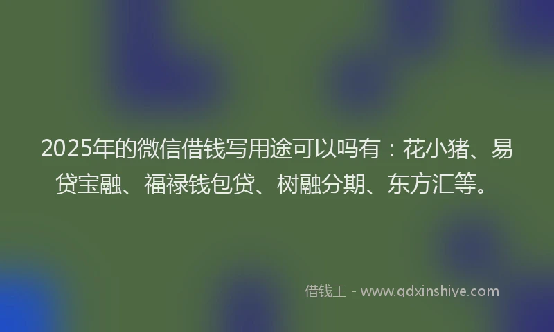 2025年的微信借钱写用途可以吗有：花小猪、易贷宝融、福禄钱包贷、树融分期、东方汇等。