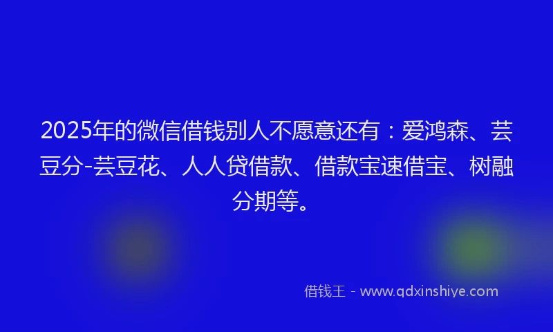 2025年的微信借钱别人不愿意还有：爱鸿森、芸豆分-芸豆花、人人贷借款、借款宝速借宝、树融分期等。