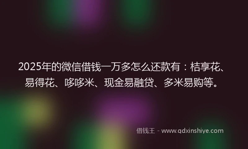 2025年的微信借钱一万多怎么还款有：桔享花、易得花、哆哆米、现金易融贷、多米易购等。