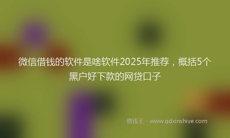 微信借钱的软件是啥软件2025年推荐，概括5个黑户好下款的网贷口子