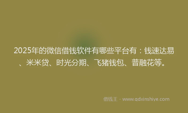 2025年的微信借钱软件有哪些平台有：钱速达易、米米贷、时光分期、飞猪钱包、普融花等。
